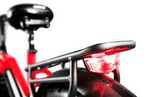 E-MONO FAT TIRE bike SE-SE-20BM02