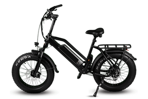 Sunmono TERRA - 48V HYBRID ALL-TERRAIN CARGO