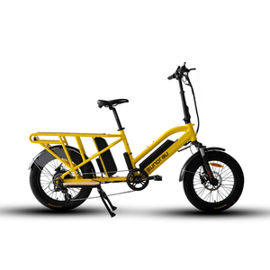 Eunorau G30-Cargo Electric Bike