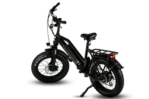 E-MONO FAT TIRE bike SE-SE-20BM02