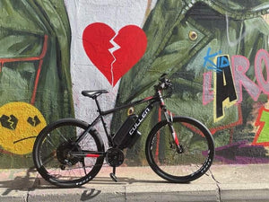 The Cullen E-bike-1000W 48V 13Ah (Pedal Assist & Throttle) Version 2