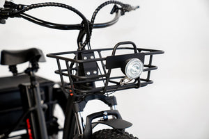 PAPA GRANDE - 3 WHEEL E-TRIKE 350W