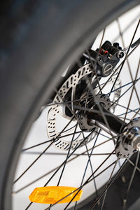 PAPA GRANDE - 3 WHEEL E-TRIKE 350W