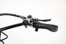 Load image into Gallery viewer, PAPA GRANDE - 3 WHEEL E-TRIKE 350W
