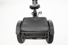 Load image into Gallery viewer, PAPA GRANDE - 3 WHEEL E-TRIKE 350W
