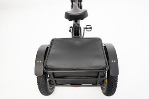 PAPA GRANDE - 3 WHEEL E-TRIKE 350W