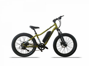 SUNMONO 24 ELECTRIC CRUISER BIKE SE-24B01