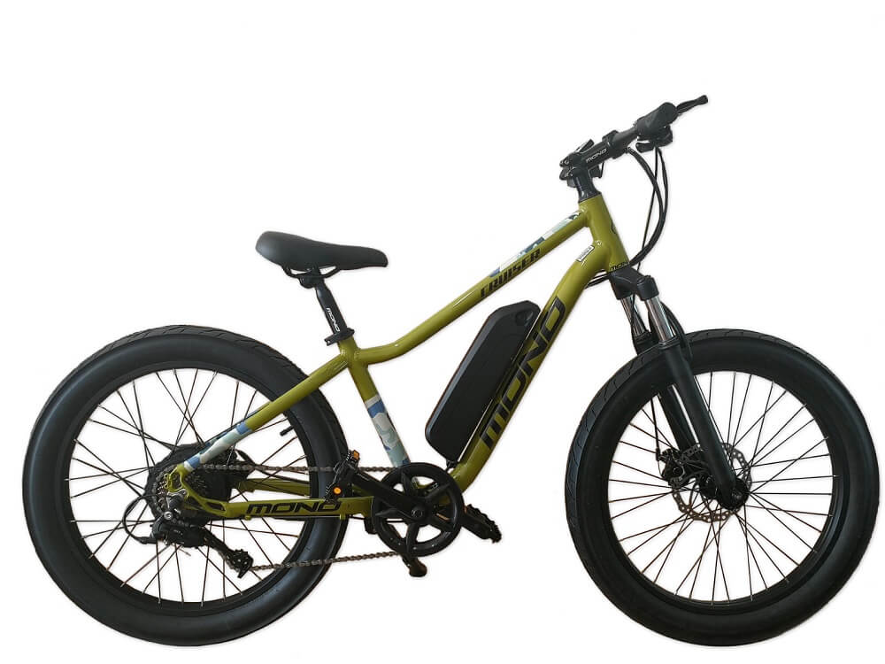 E-MONO 24 ELECTRIC CRUISER BIKE SE-24B01
