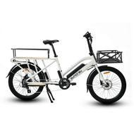 Eunorau Max Cargo - 24'' Wheel Electric Bike 48V 250W E-Bike