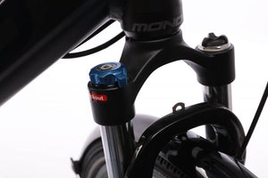 E-MONO 28â€³(700C) ELECTRIC URBAN BIKE SE-70M001
