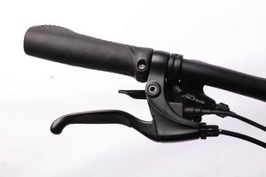 E-MONO 28â€³(700C) ELECTRIC URBAN BIKE SE-70M001