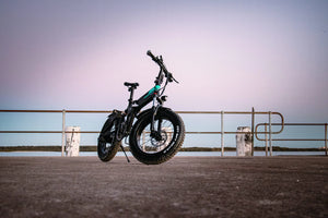 Fiido M3 eBike