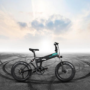 Fiido M3 eBike