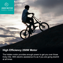 Load image into Gallery viewer, Fiido eBike D12 Sky blue
