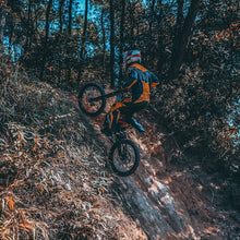 Load image into Gallery viewer, SURRON LIGHT BEE X ELECTRIC DIRT BIKE 2023
