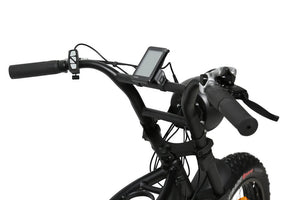 DiroDi Rover Vintage style modern electric bike 48V 250W Gen 3